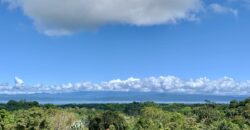 Stunning Ocean View Property