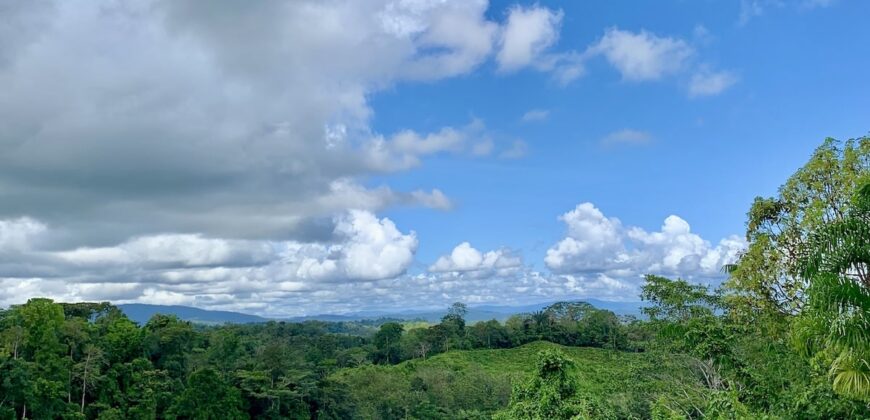 Stunning Ocean View Property