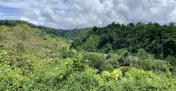 Stunning Ocean View Property