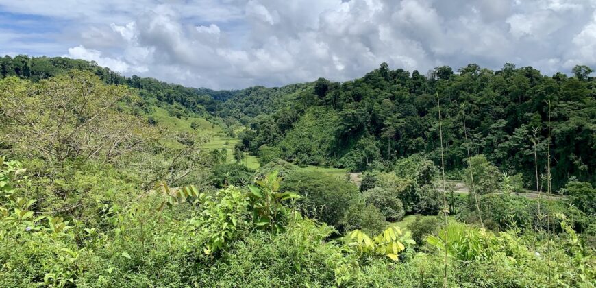 Stunning Ocean View Property