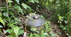 Stunning Ocean View Property