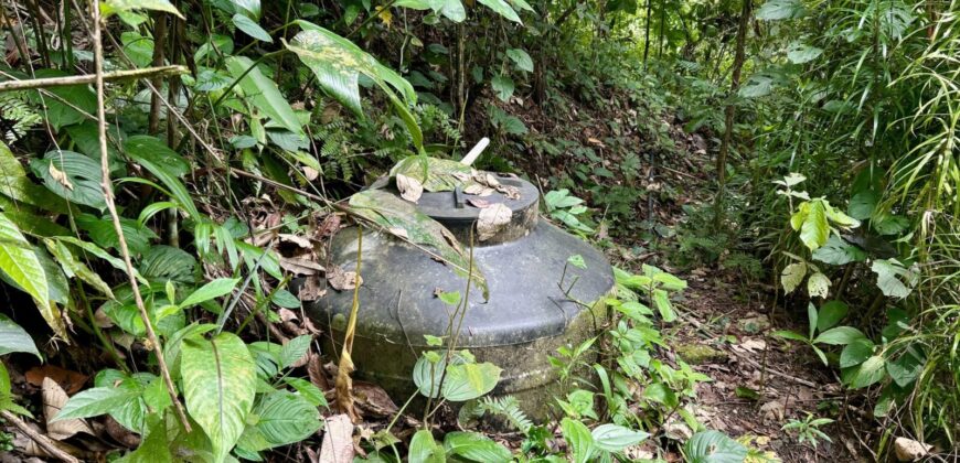 Stunning Ocean View Property