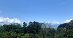 Stunning Ocean View Property