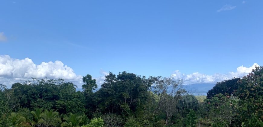 Stunning Ocean View Property