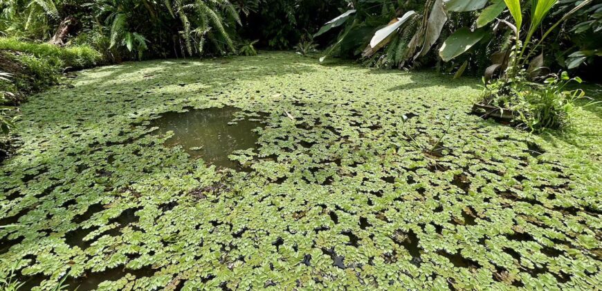 Stunning Ocean View Property