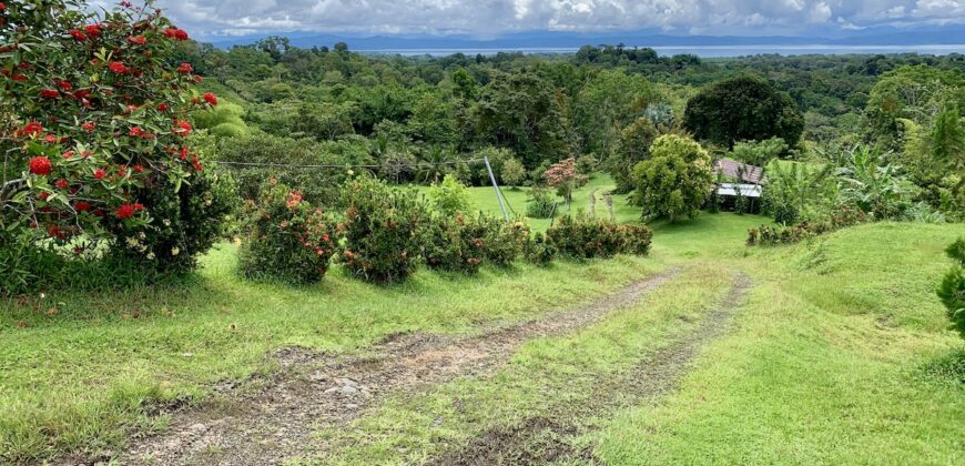 Stunning Ocean View Property