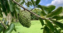 Titled Lot in Nice Beach Community