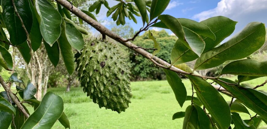 Titled Lot in Nice Beach Community