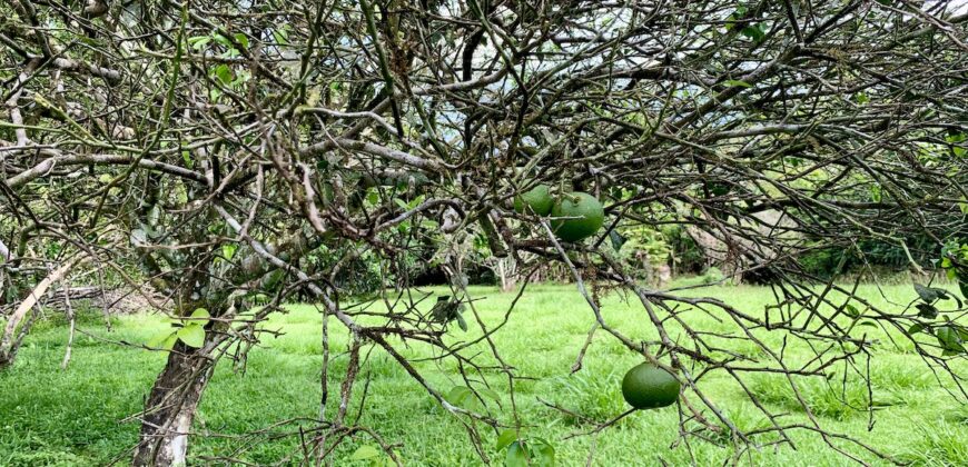 Titled Lot in Nice Beach Community