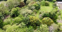 Titled Lot in Nice Beach Community