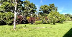 Point Break Beachfront Property Osa Peninsula