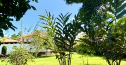 Point Break Beachfront Property Osa Peninsula