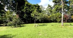 Point Break Beachfront Property Osa Peninsula