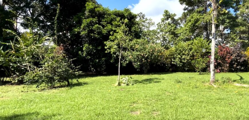 Point Break Beachfront Property Osa Peninsula