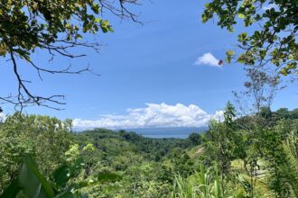 Ocean View Off Grid Mountain Homestead