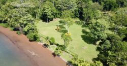 Spectacular Coastal Rainforest Estate Property