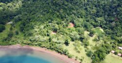 Spectacular Coastal Rainforest Estate Property