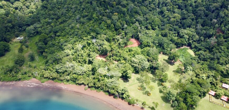 Spectacular Coastal Rainforest Estate Property