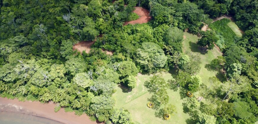 Spectacular Coastal Rainforest Estate Property