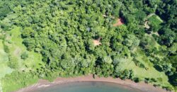 Spectacular Coastal Rainforest Estate Property