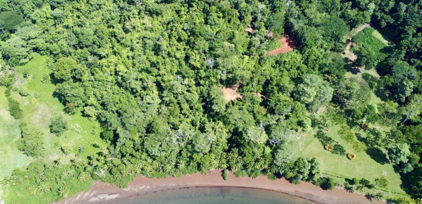 Spectacular Coastal Rainforest Estate Property