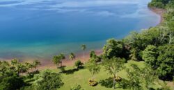 Spectacular Coastal Rainforest Estate Property