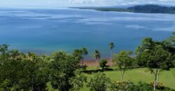 Spectacular Coastal Rainforest Estate Property