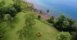 Spectacular Coastal Rainforest Estate Property