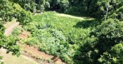 Spectacular Coastal Rainforest Estate Property