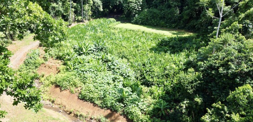 Spectacular Coastal Rainforest Estate Property