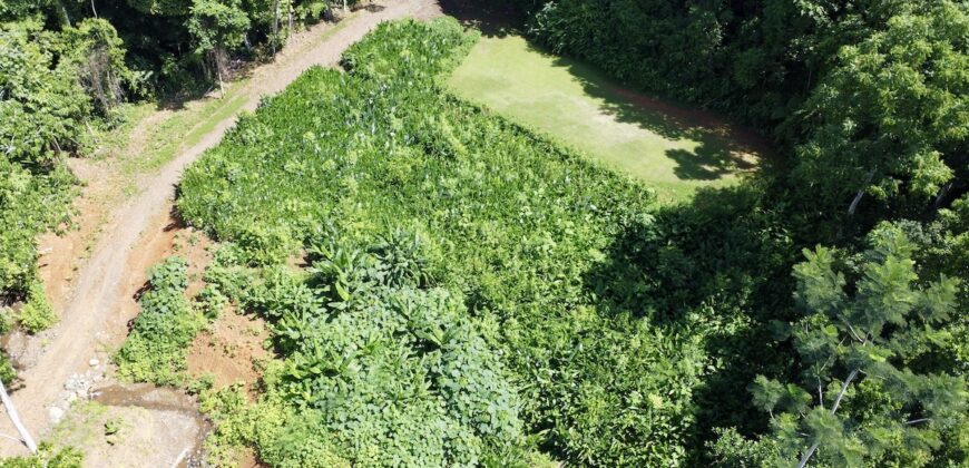 Spectacular Coastal Rainforest Estate Property