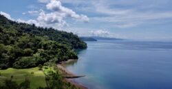 Spectacular Coastal Rainforest Estate Property