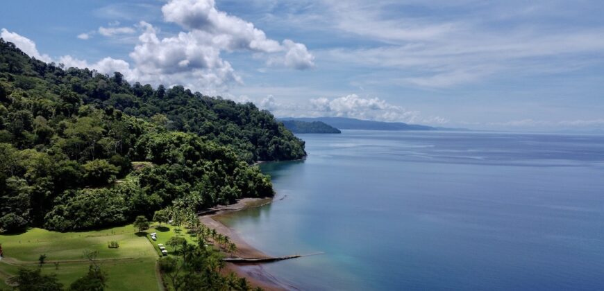 Spectacular Coastal Rainforest Estate Property