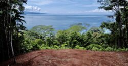 Spectacular Coastal Rainforest Estate Property