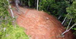 Spectacular Coastal Rainforest Estate Property