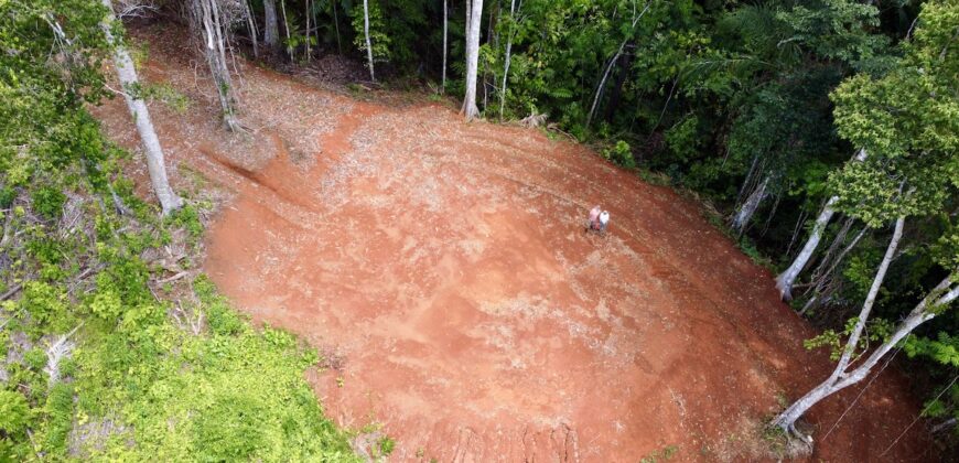 Spectacular Coastal Rainforest Estate Property