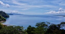 Spectacular Coastal Rainforest Estate Property