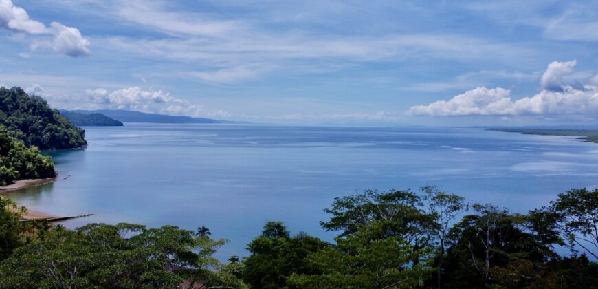 Spectacular Coastal Rainforest Estate Property