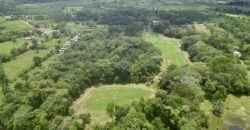 Tropical Farmland 21 Acres