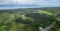 Tropical Farmland 21 Acres