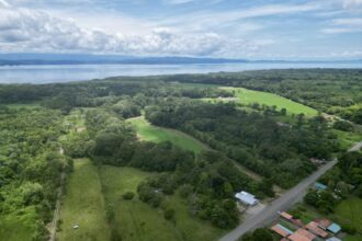 Tropical Farmland 21 Acres