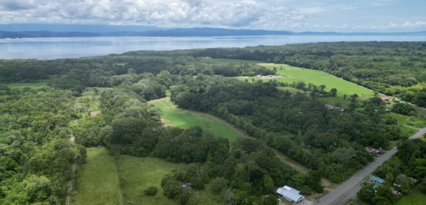 Tropical Farmland 21 Acres