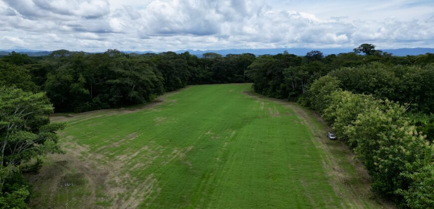 Tropical Farmland 21 Acres