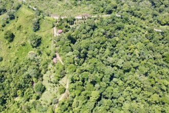 Garden Home on Large Parcel