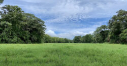 Tropical Farmland 21 Acres