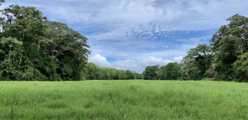 Tropical Farmland 21 Acres