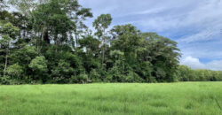 Tropical Farmland 21 Acres