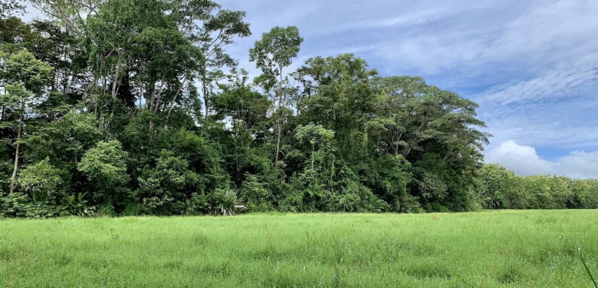 Tropical Farmland 21 Acres