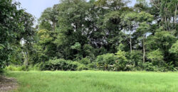 Tropical Farmland 21 Acres