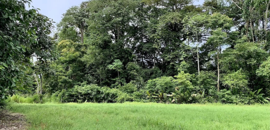 Tropical Farmland 21 Acres